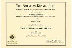 Xaviers-VHMP-Certificate